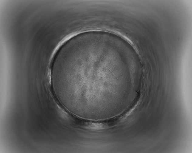 X0000087621509200704271349