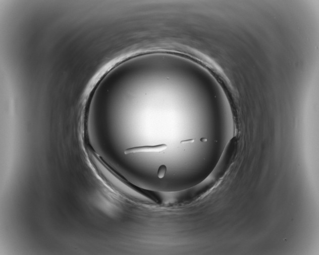 X0000087621512200704271349