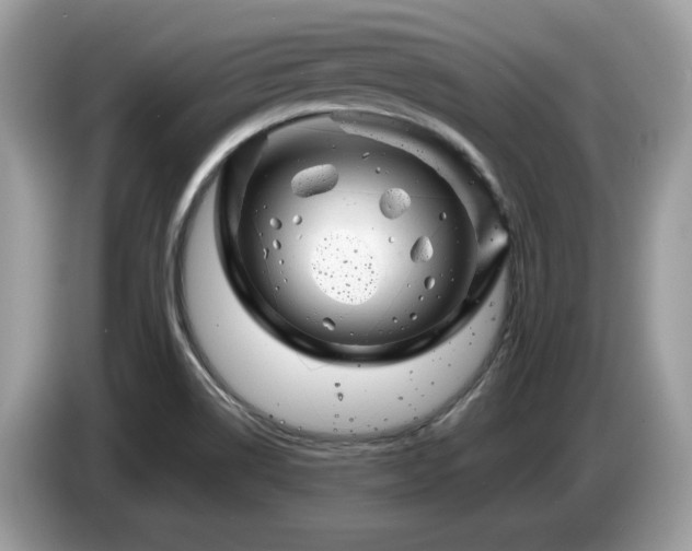 X0000087621514200704271349
