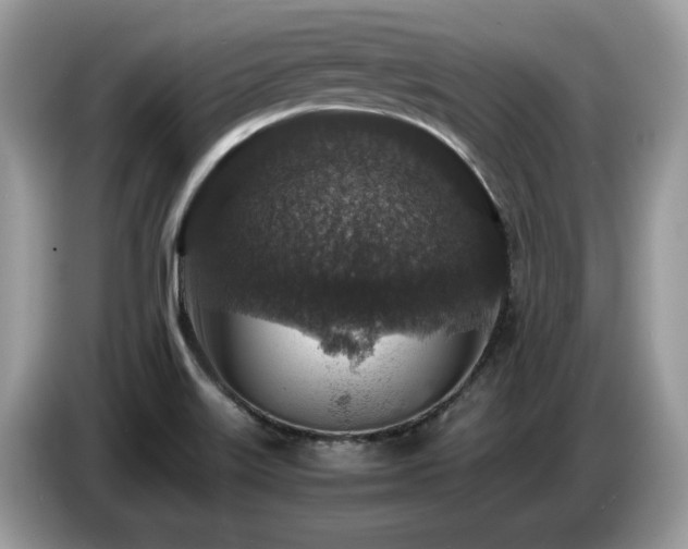 X0000087621515200704271349