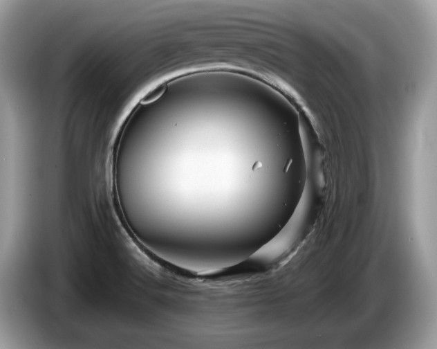 X0000087621516200704271349