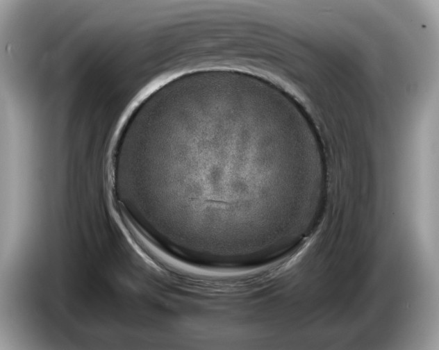 X0000087621517200704271349