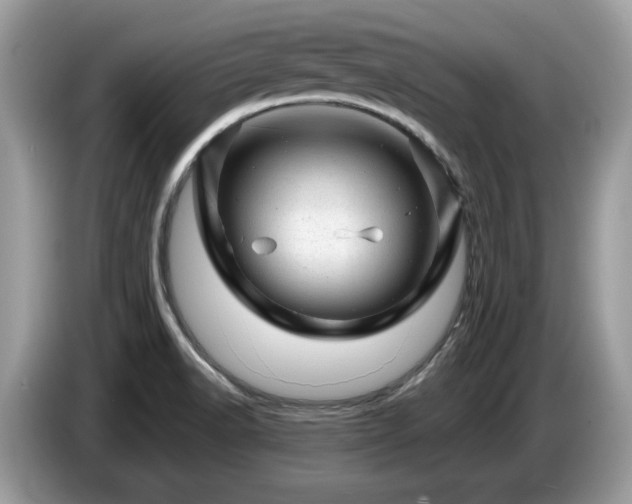 X0000087621518200704271349