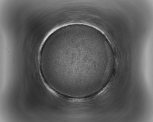 X0000087621519200704271349