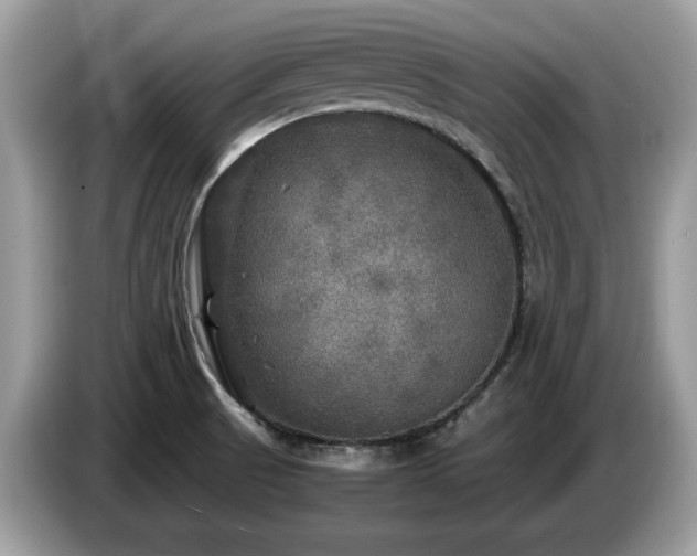 X0000087621521200704271349