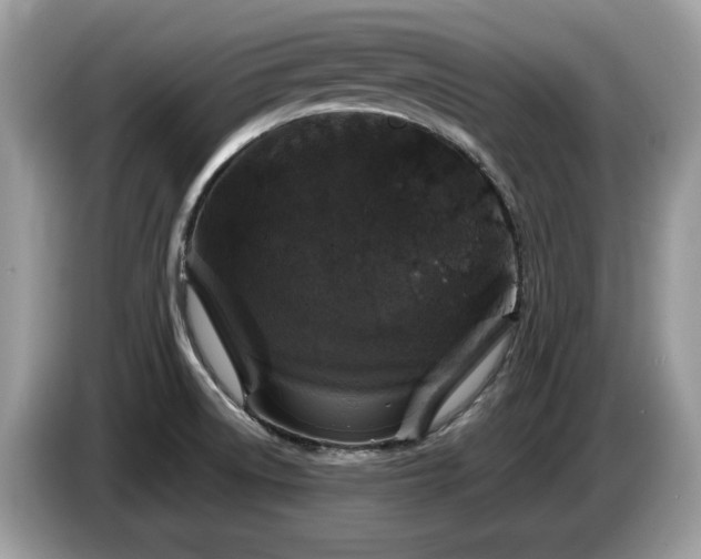 X0000087621522200704271349