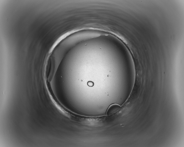 X0000087621523200704271349