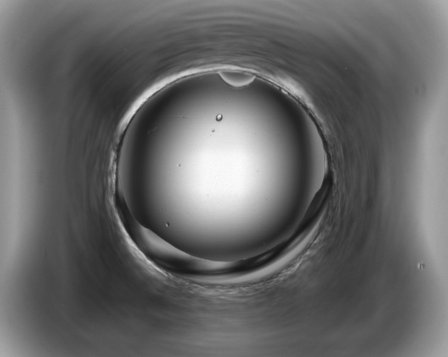 X0000087621524200704271349