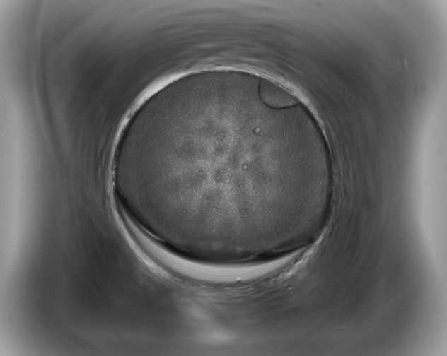 X0000087621525200704271349