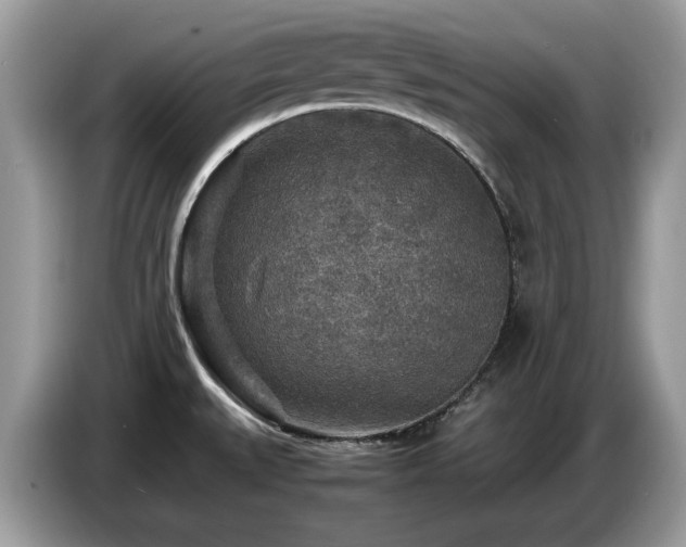 X0000087621527200704271349