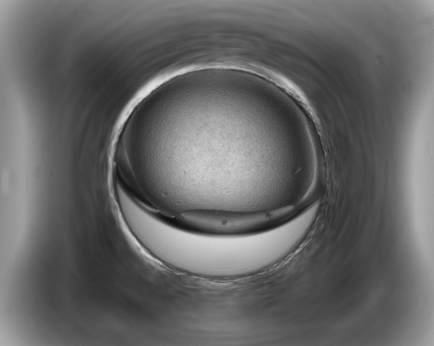 X0000087621528200704271349