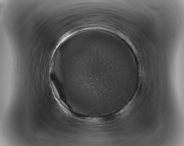 X0000087621529200704271349