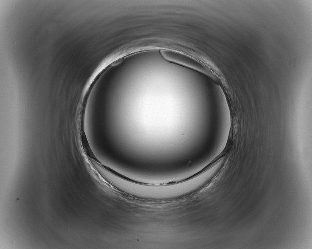X0000087621530200704271349
