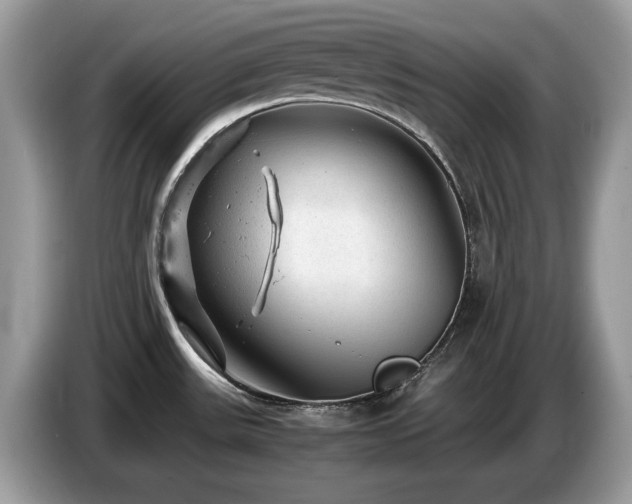 X0000087621531200704271349