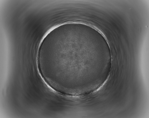 X0000087621533200704271349