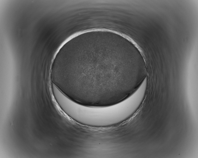 X0000087621534200704271349