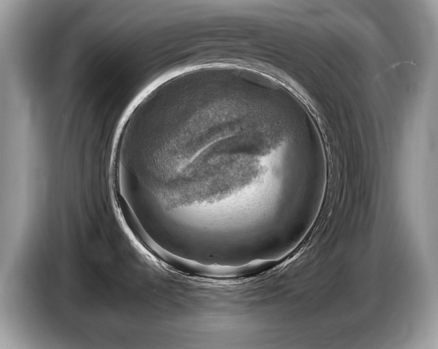 X0000087621536200704271349