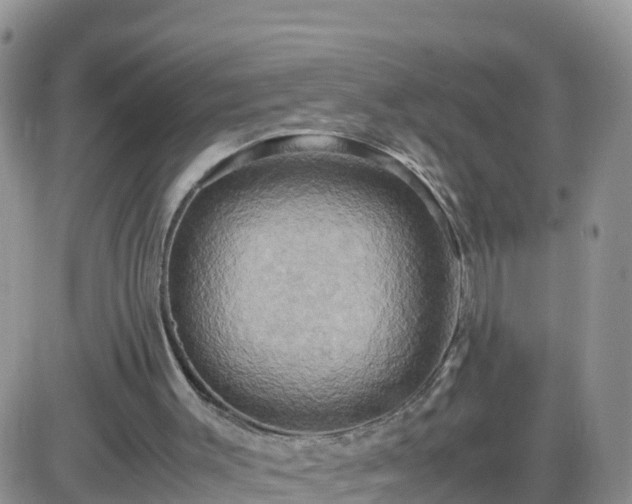 X0000087620003200705041636