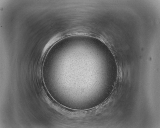 X0000087620004200705041636
