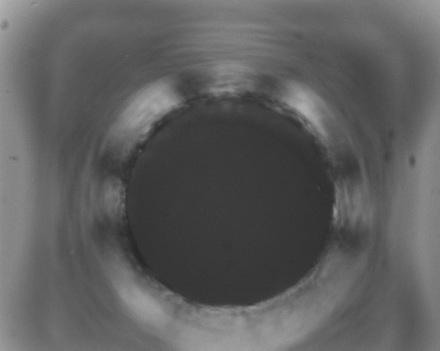 X0000087620029200705041635