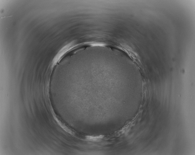 X0000087620051200705041634