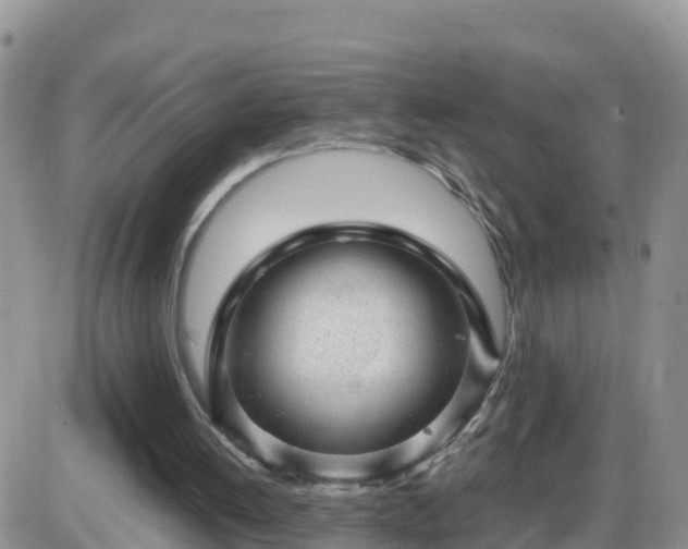 X0000087620052200705041634