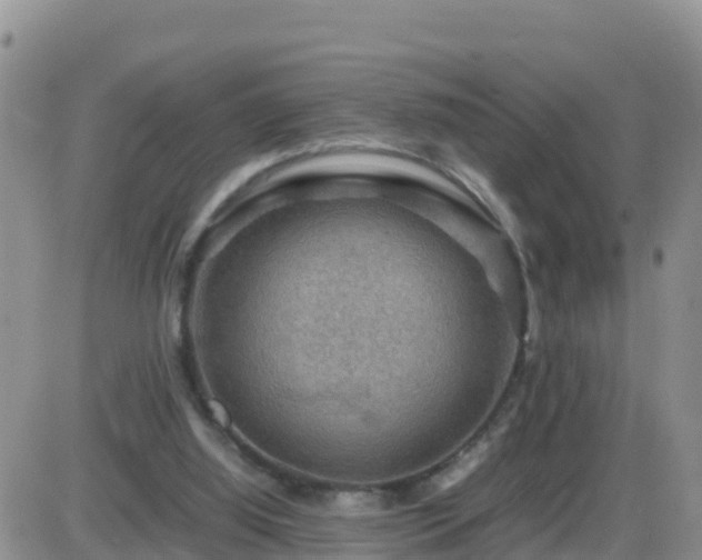 X0000087620060200705041634