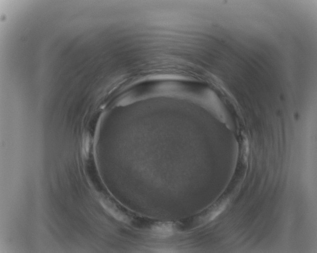 X0000087620076200705041635