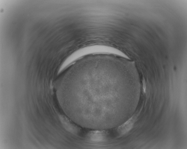 X0000087620082200705041635