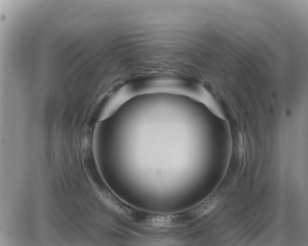 X0000087620084200705041635