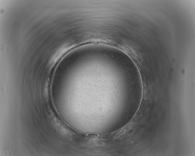 X0000087620098200705041634