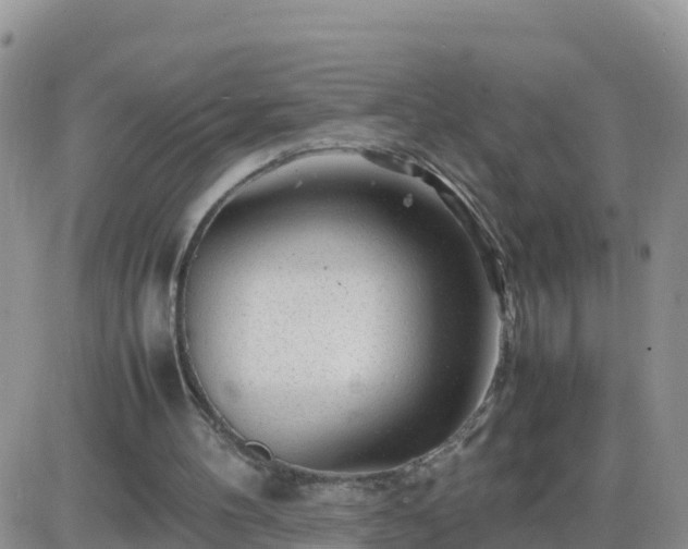 X0000087620100200705041634