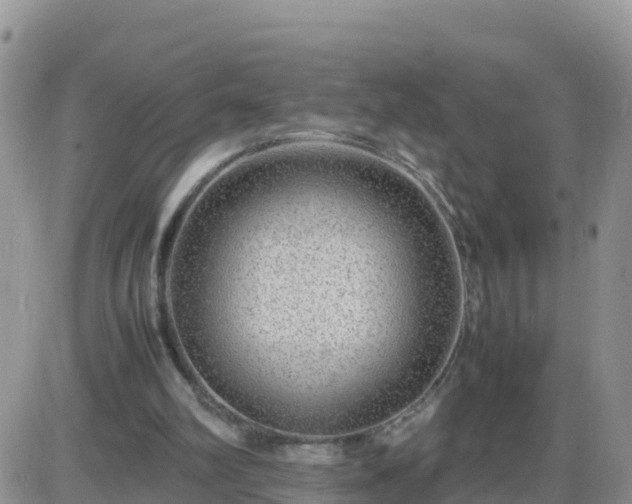X0000087620102200705041634