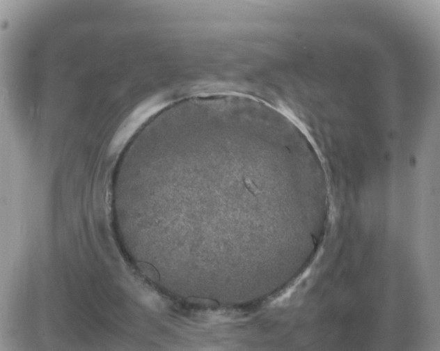 X0000087620103200705041634
