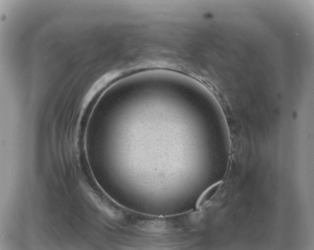X0000087620104200705041634