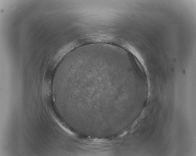 X0000087620105200705041634