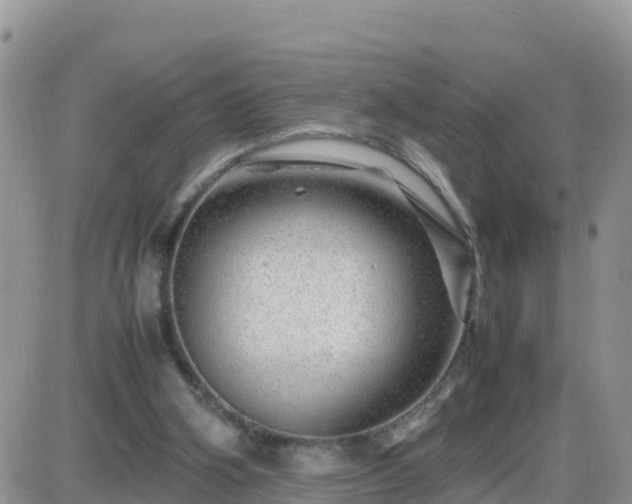 X0000087620106200705041634