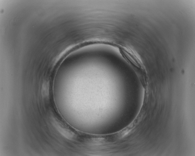 X0000087620108200705041634