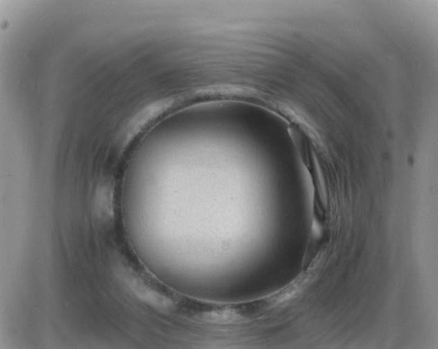 X0000087620112200705041634