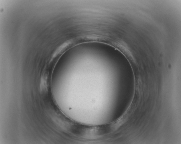 X0000087620116200705041634