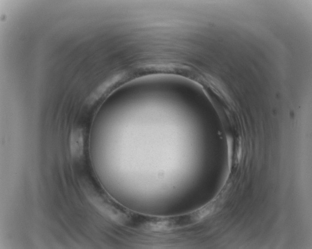 X0000087620120200705041634