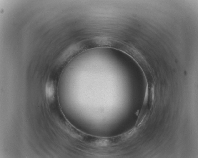 X0000087620124200705041634