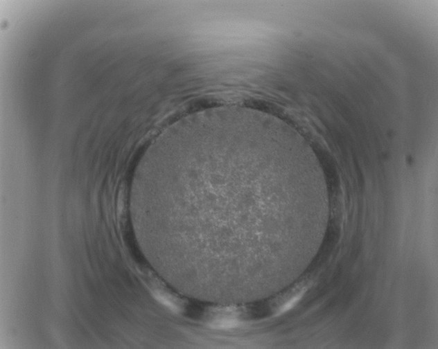 X0000087620131200705041634