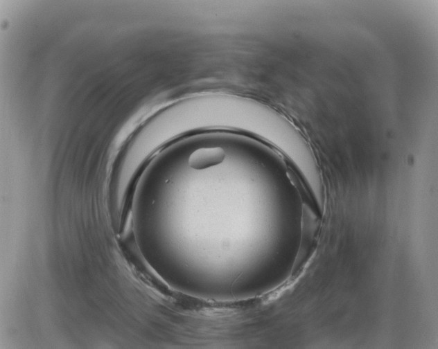 X0000087620150200705041633