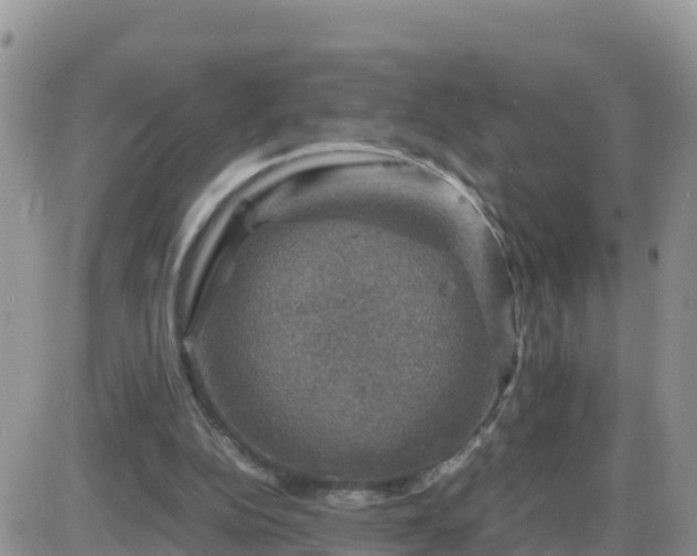 X0000087620152200705041633