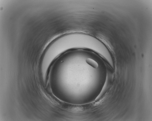 X0000087620156200705041633