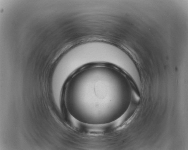 X0000087620158200705041633