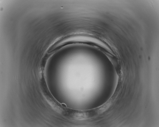 X0000087620160200705041633