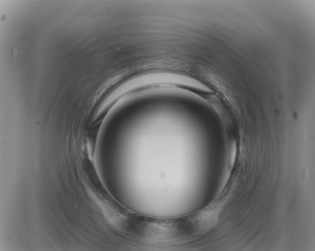 X0000087620164200705041633