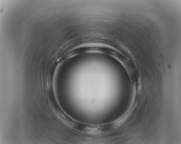 X0000087620170200705041633